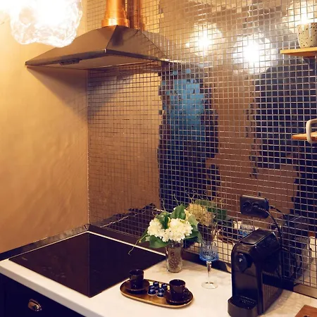 公寓 Urban Deluxe Calea Victoriei 100 Sauna And Jacuzzi 布加勒斯特