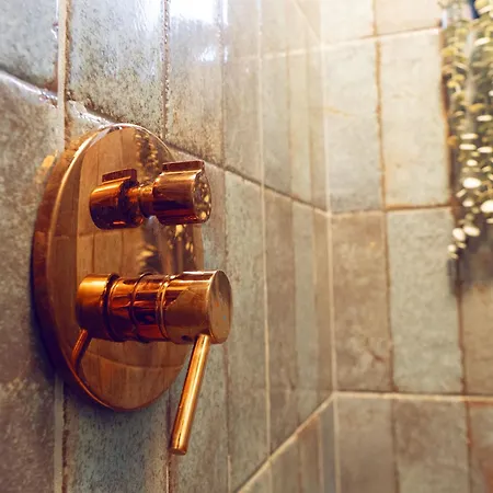 Apartment Urban Deluxe Calea Victoriei 100 Sauna And Jacuzzi