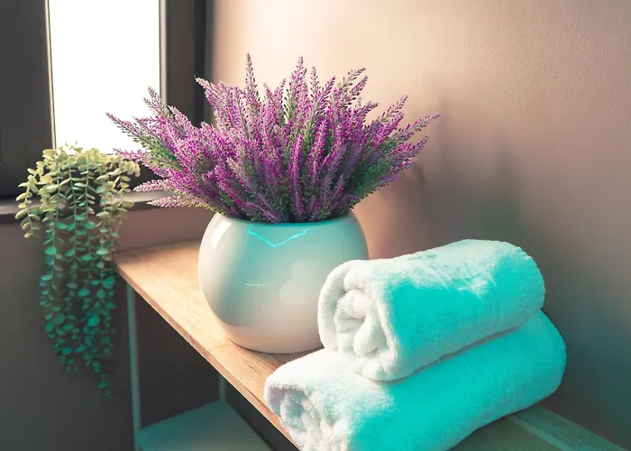 Apartman Urban Deluxe Calea Victoriei 100 Sauna And Jacuzzi Bukarest